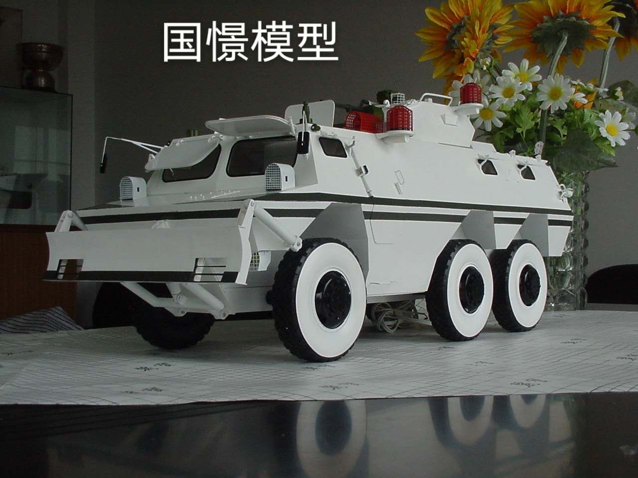 望奎县军事模型