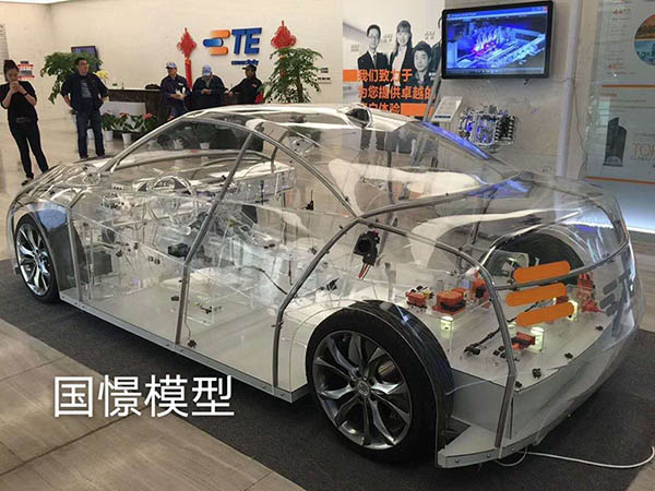 望奎县透明车模型
